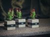 Festivalio „Šeršėliafam“ atidarymo akimirka (5)
