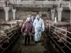 „Stebuklo“ filmavimas_nuotr.aut. Matas Astrauskas
