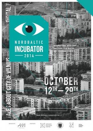 NordBaltic Incubator’14, AMII