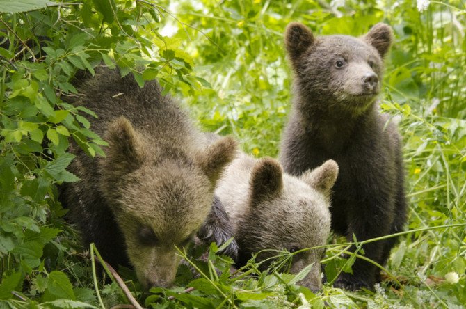 Kadras iš filmo „Metų laikai“ Prior Entertainment archyvas