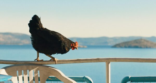 Kadras iš filmo VIŠTELĖ