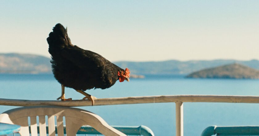 Kadras iš filmo VIŠTELĖ